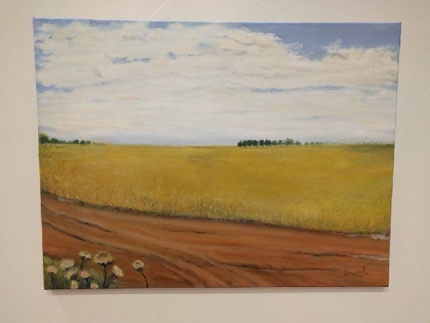 Exposición de Cuadros en el Salón Ramón Carrillo de la AMAP