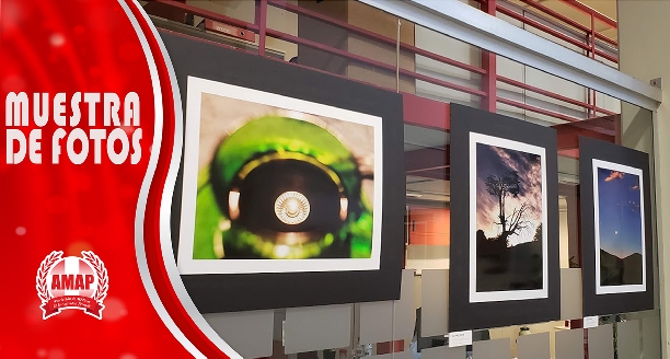 Exposición fotográfica Obsesiones Mínimas de Alberto Regazzoni